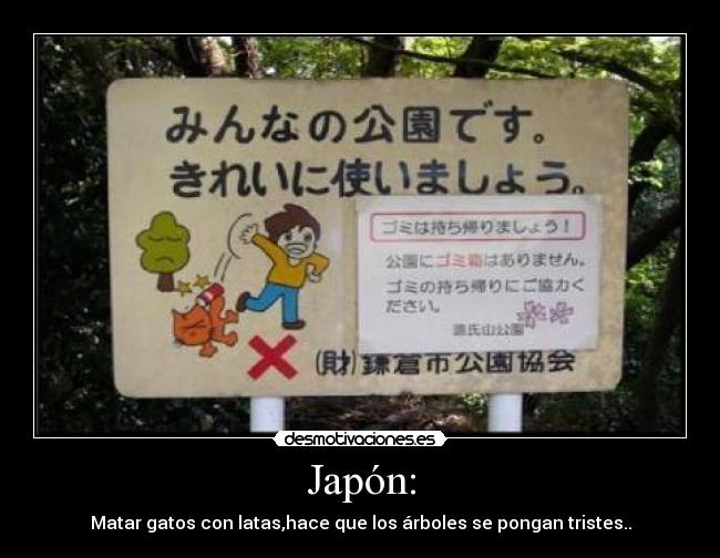 Japón: - Matar gatos con latas,hace que los árboles se pongan tristes..