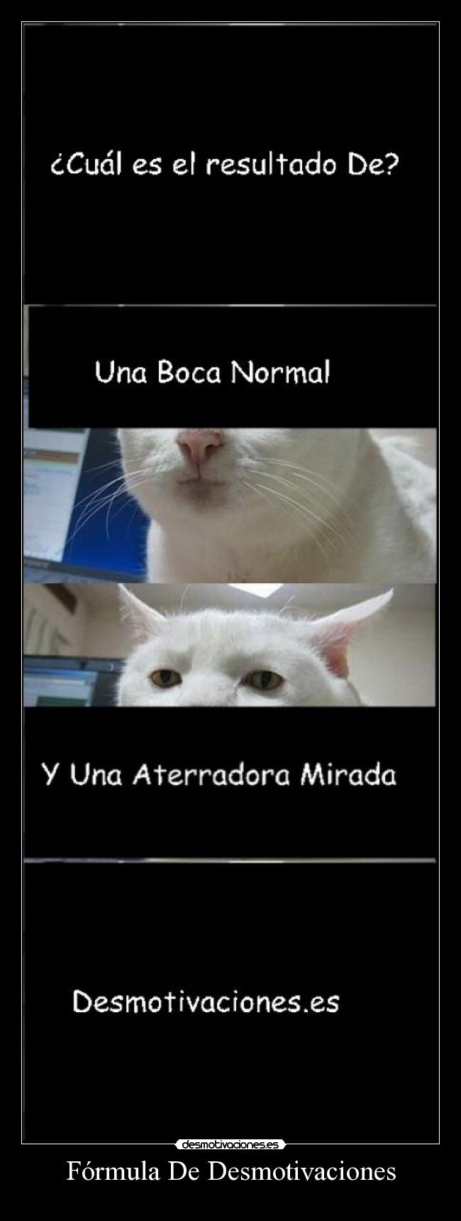 Fórmula De Desmotivaciones -