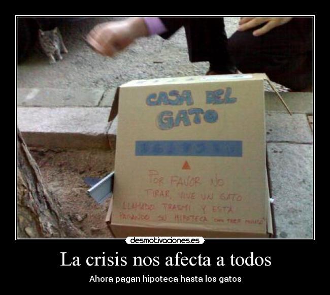 La crisis nos afecta a todos - Ahora pagan hipoteca hasta los gatos
