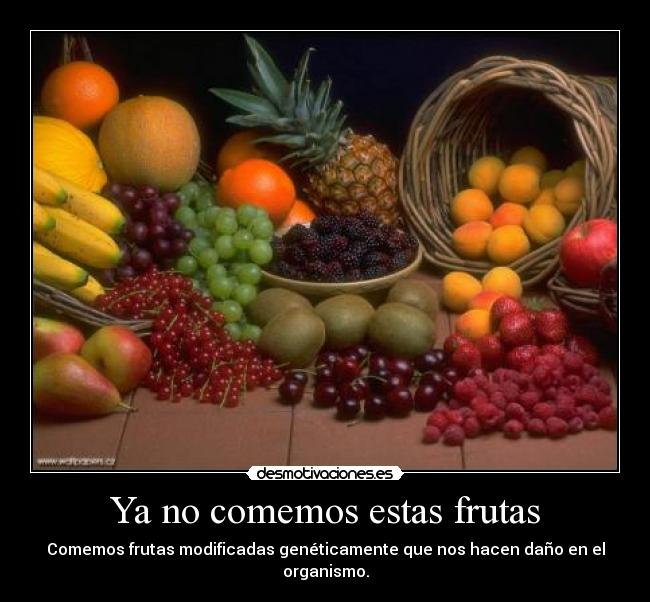 Ya no comemos estas frutas - Comemos frutas modificadas genéticamente que nos hacen daño en el organismo.