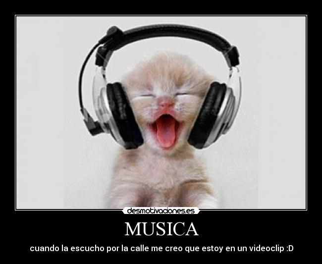 MUSICA - 
