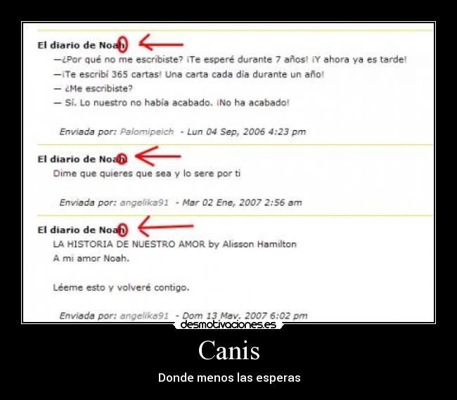 Canis - Donde menos las esperas