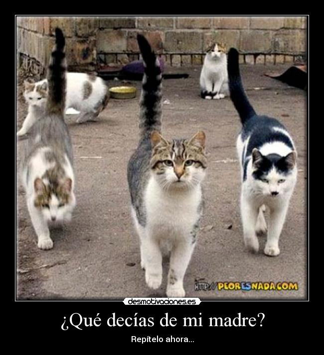 ¿Qué decías de mi madre? -