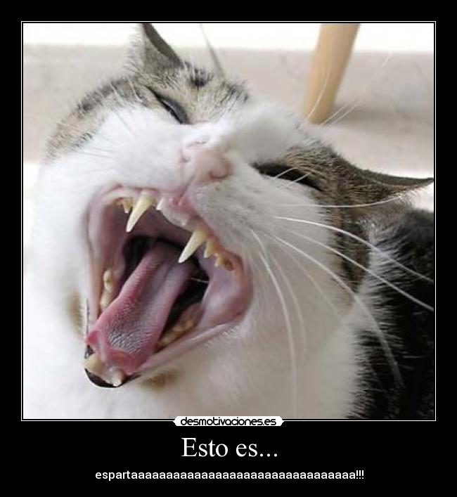 Esto es... - 