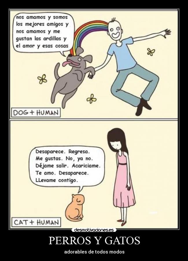 PERROS Y GATOS - 