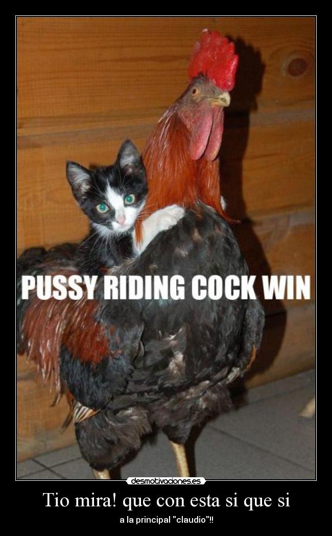 Tio mira! que con esta si que si - a la principal claudio!!