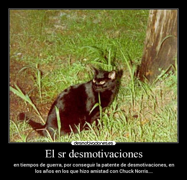 El sr desmotivaciones - en tiempos de guerra, por conseguir la patente de desmotivaciones, en
los años en los que hizo amistad con Chuck Norris....