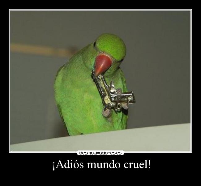 ¡Adiós mundo cruel! - 