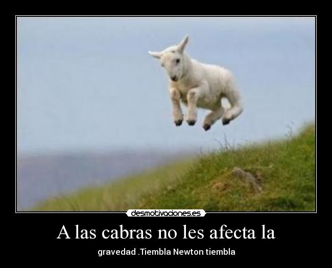 carteles jajaja desmotivaciones