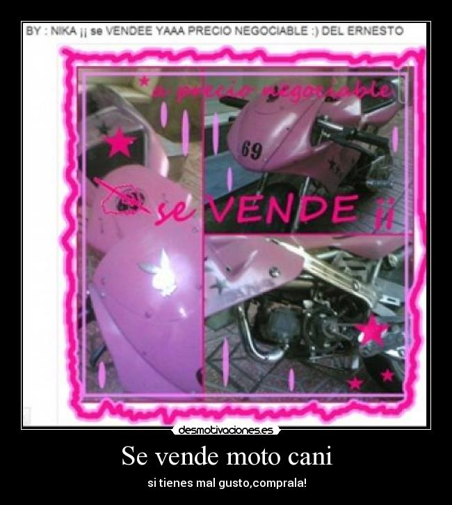 Se vende moto cani - 