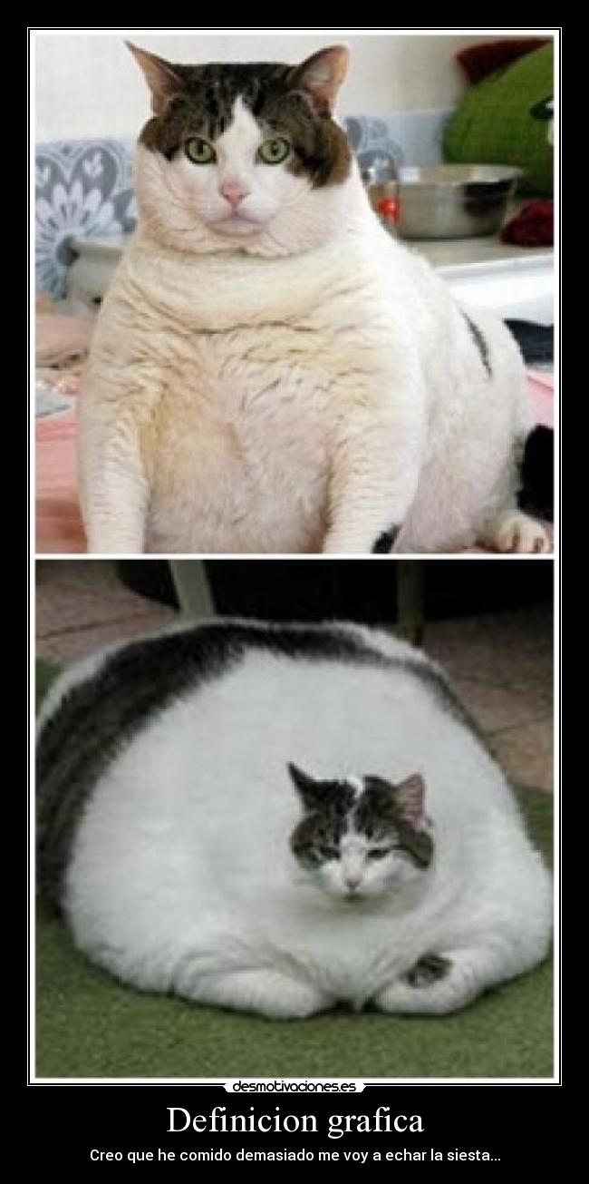 Definicion grafica - Creo que he comido demasiado me voy a echar la siesta...