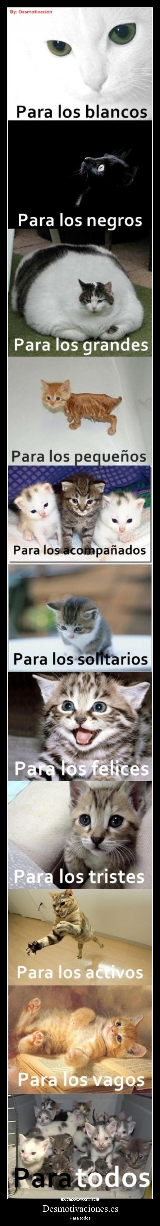 Desmotivaciones.es -