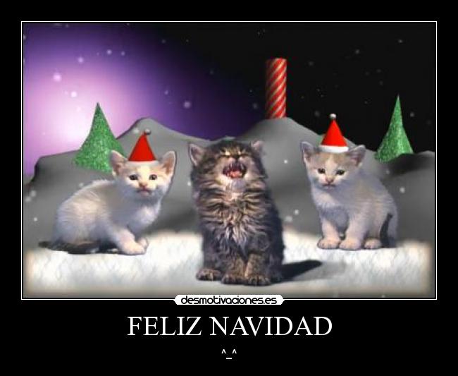 FELIZ NAVIDAD - ^_^