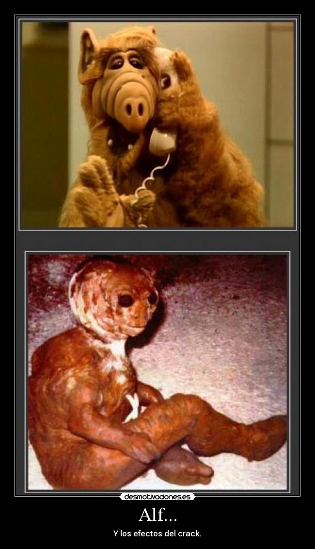 Alf... - Y los efectos del crack.
