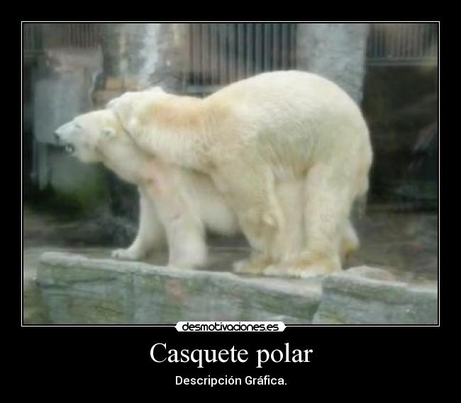 Casquete polar - Descripción Gráfica.