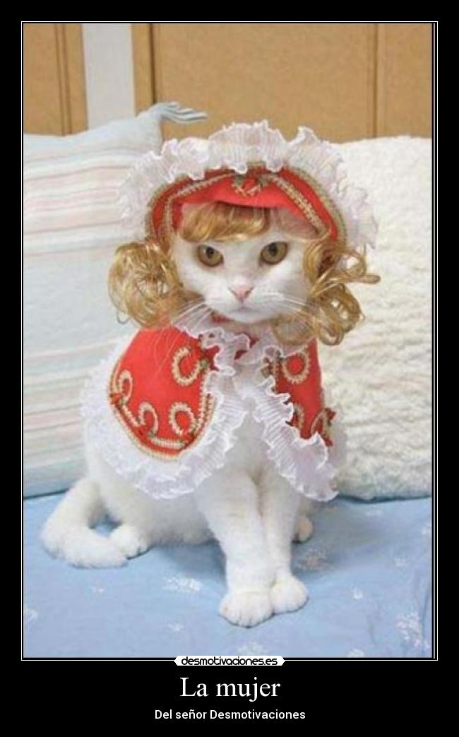 La mujer - Del señor Desmotivaciones