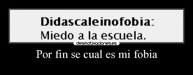 Por fin se cual es mi fobia -