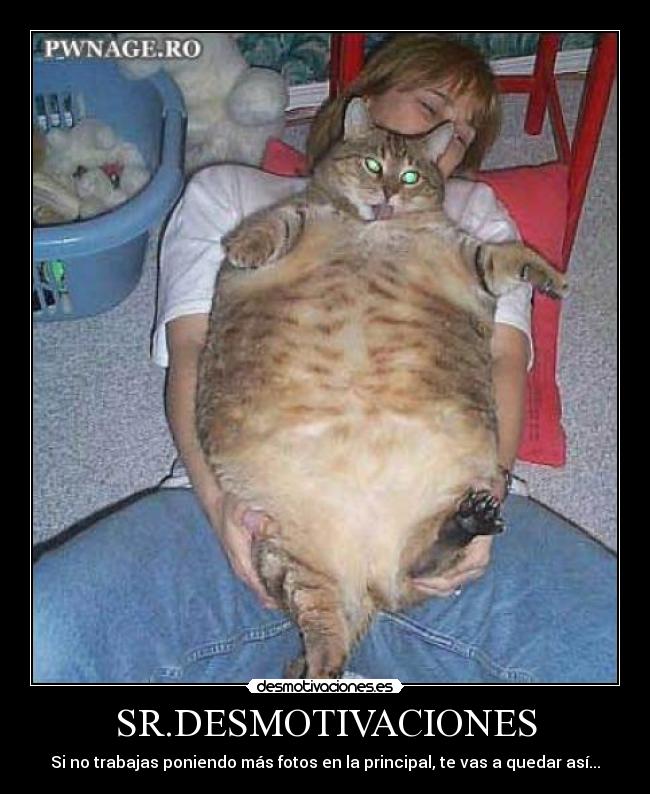 SR.DESMOTIVACIONES -