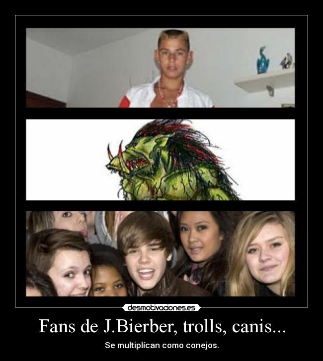 Fans de J.Bierber, trolls, canis... - Se multiplícan como conejos.