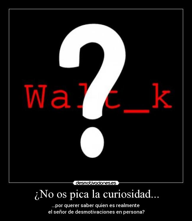 ¿No os pica la curiosidad... - 