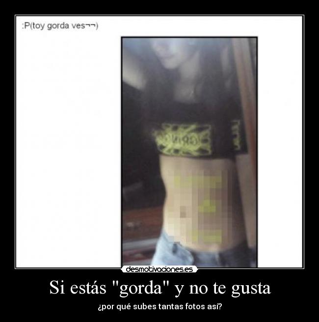 carteles canis desmotivaciones