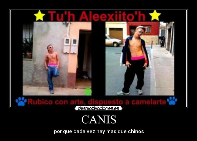 CANIS -