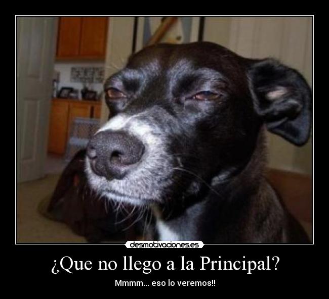 ¿Que no llego a la Principal? -