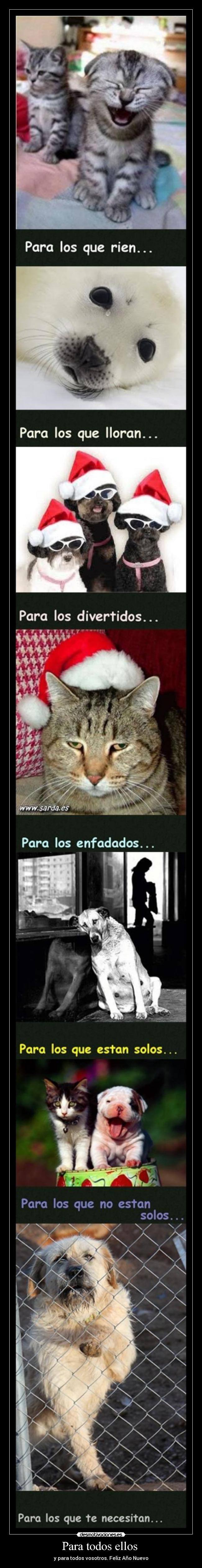 Para todos ellos  - y para todos vosotros. Feliz Año Nuevo