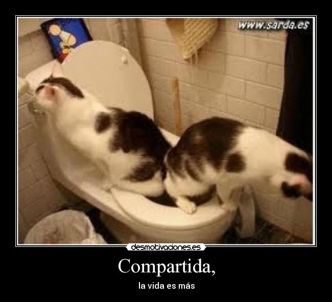 Compartida, - 