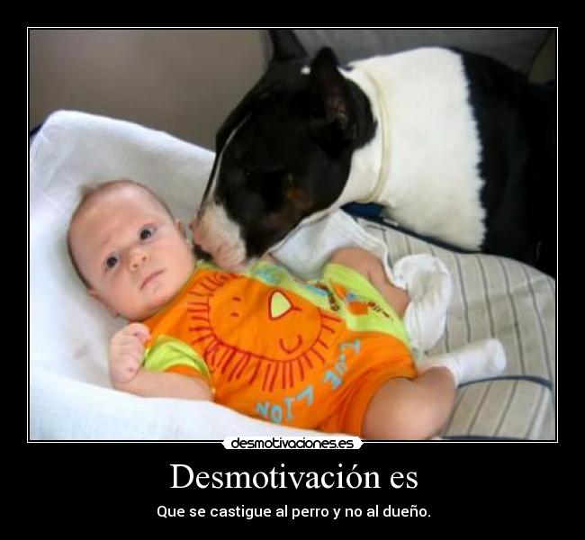 Desmotivación es - Que se castigue al perro y no al dueño.