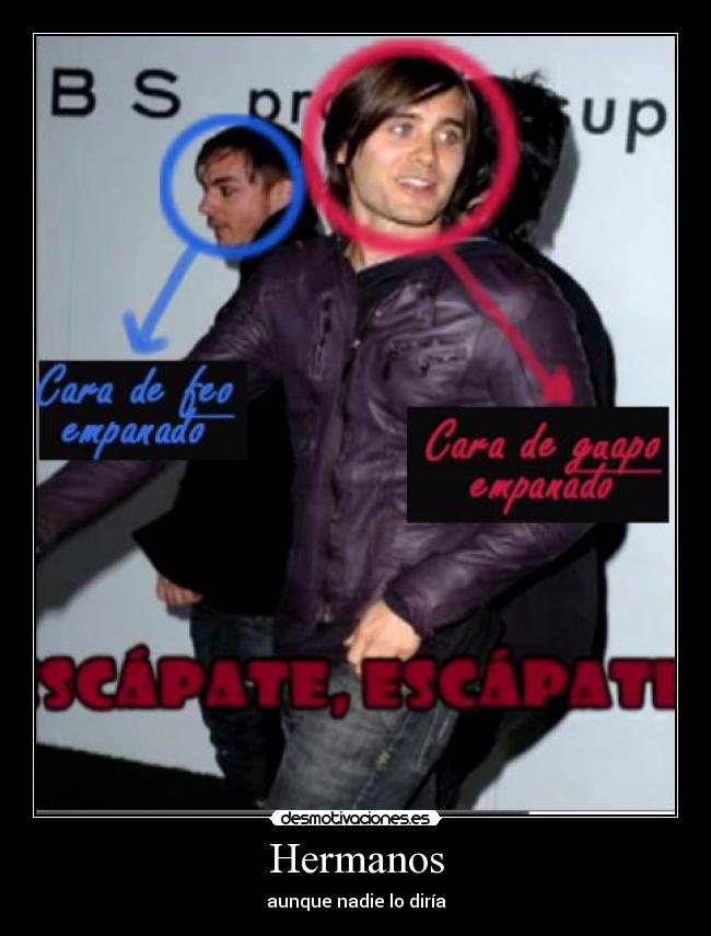 Hermanos - aunque nadie lo diría