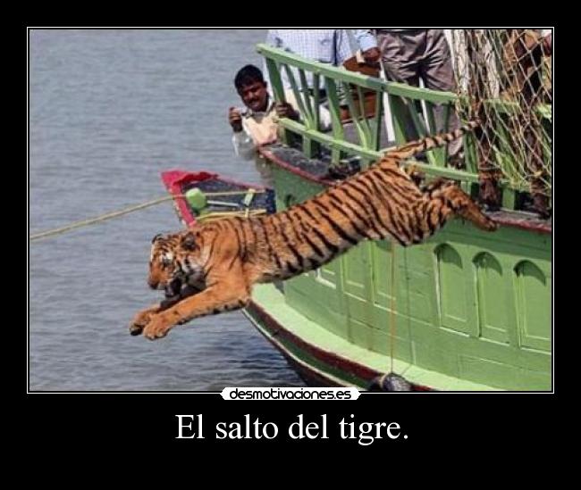 El salto del tigre. -