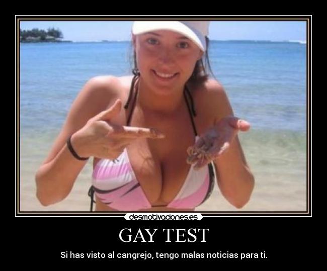 GAY TEST - 