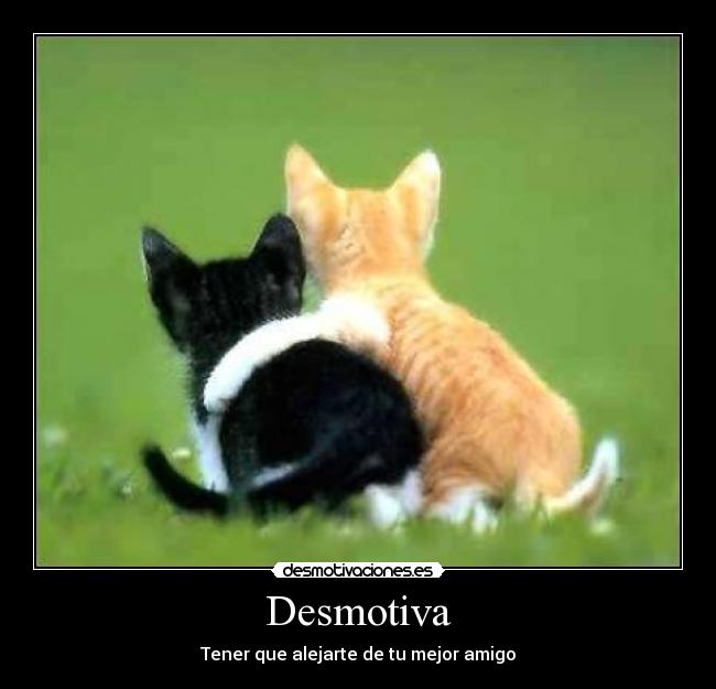 Desmotiva - Tener que alejarte de tu mejor amigo