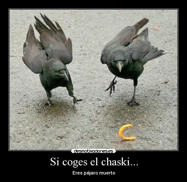 Si coges el chaski... - Eres pájaro muerto