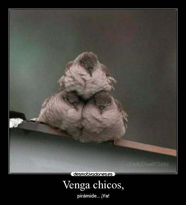 Venga chicos, - pirámide... ¡Ya!