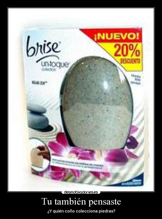 Tu también pensaste -