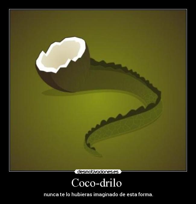 Coco-drilo  - 