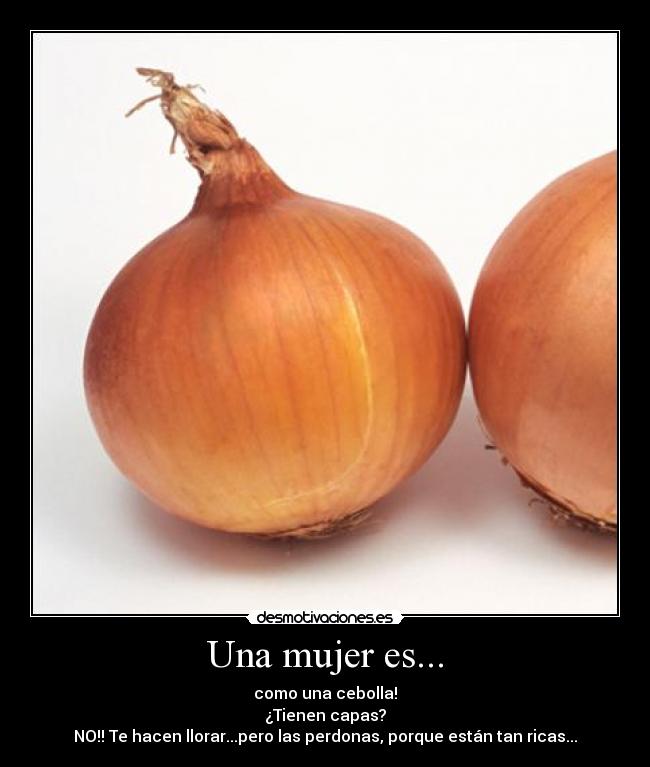 carteles mujer cebolla igual mujer lol desmotivaciones