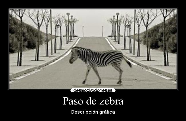 Paso de zebra -