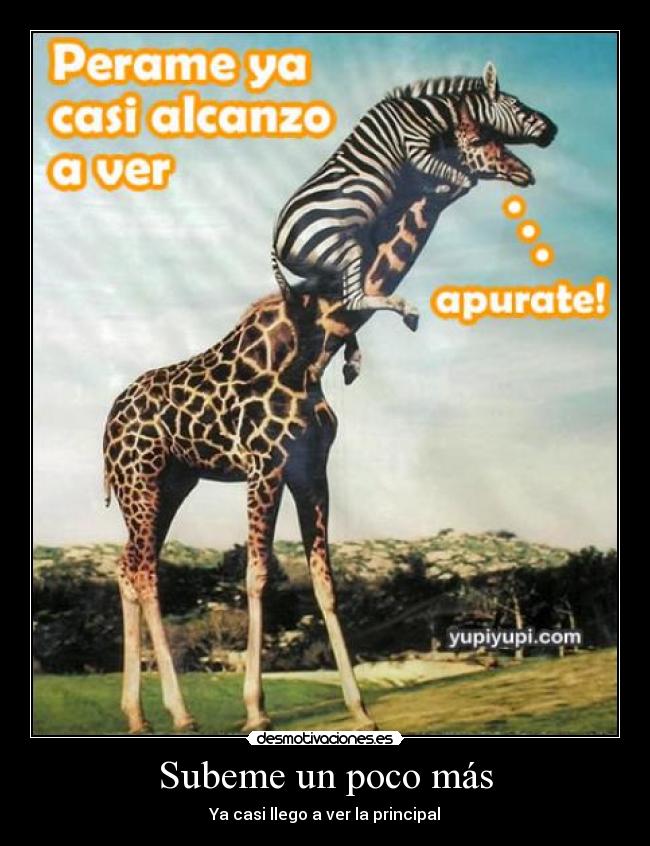 carteles intentando llegar principal desmotivaciones