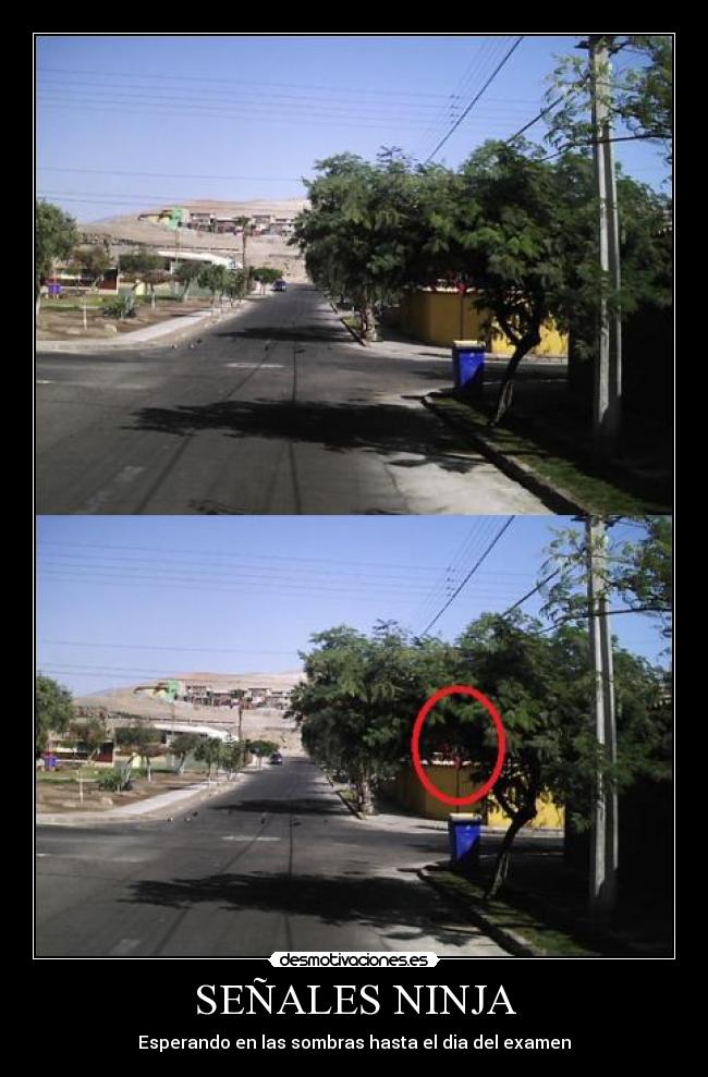 SEÑALES NINJA -