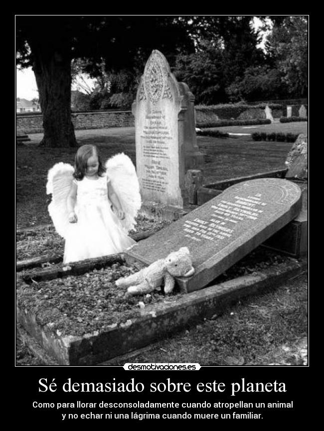 Sé demasiado sobre este planeta - Como para llorar desconsoladamente cuando atropellan un animal
y no echar ni una lágrima cuando muere un familiar.