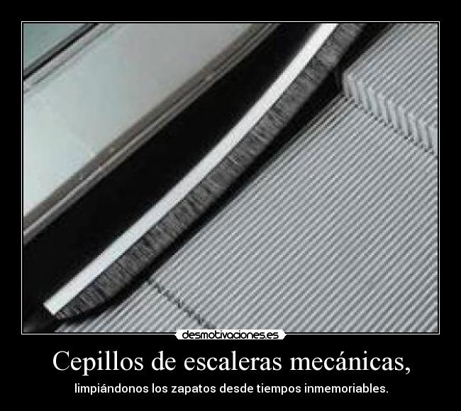 Cepillos de escaleras mecánicas, - 