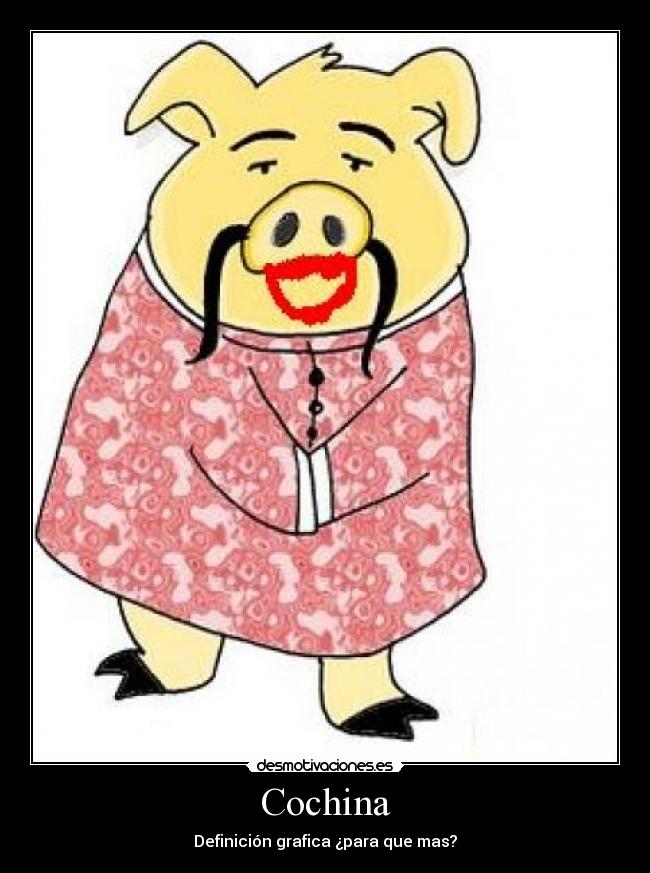 Cochina - Definición grafica ¿para que mas?
