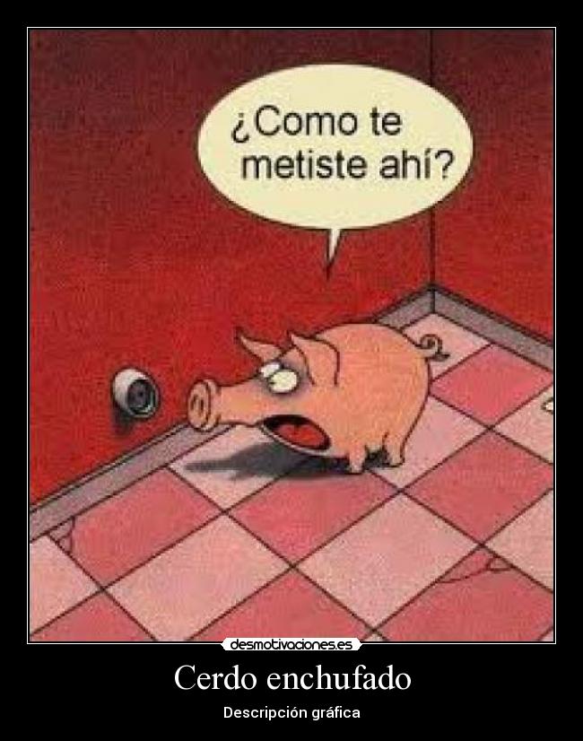 Cerdo enchufado - Descripción gráfica