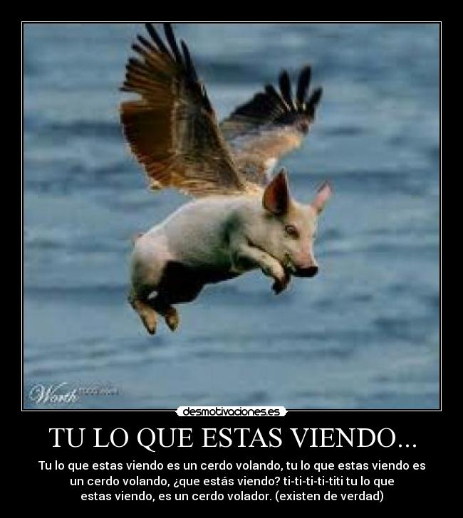 TU LO QUE ESTAS VIENDO... - Tu lo que estas viendo es un cerdo volando, tu lo que estas viendo es
un cerdo volando, ¿que estás viendo? ti-ti-ti-ti-titi tu lo que
estas viendo, es un cerdo volador. (existen de verdad)