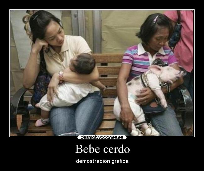 Bebe cerdo -