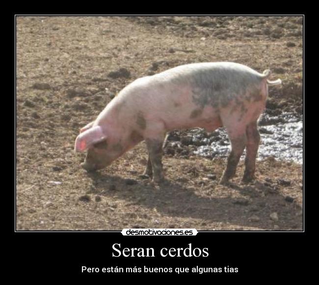 Seran cerdos - Pero están más buenos que algunas tias