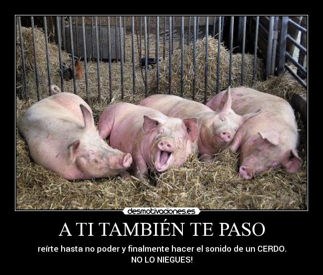 A TI TAMBIÉN TE PASO -